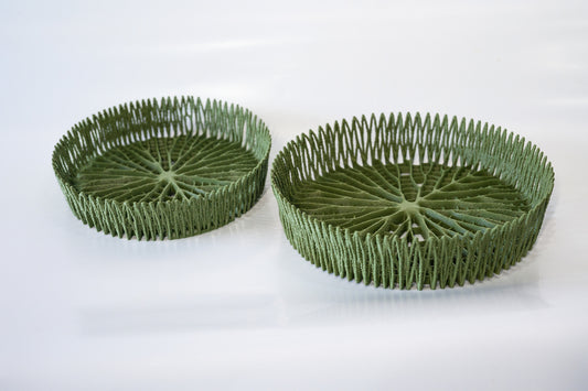 Bandeja Régia Floresta - Média