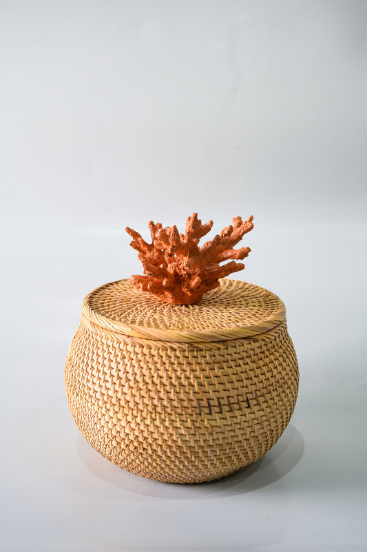 Caixa Ratan Coral Abaloada - Cor Telha