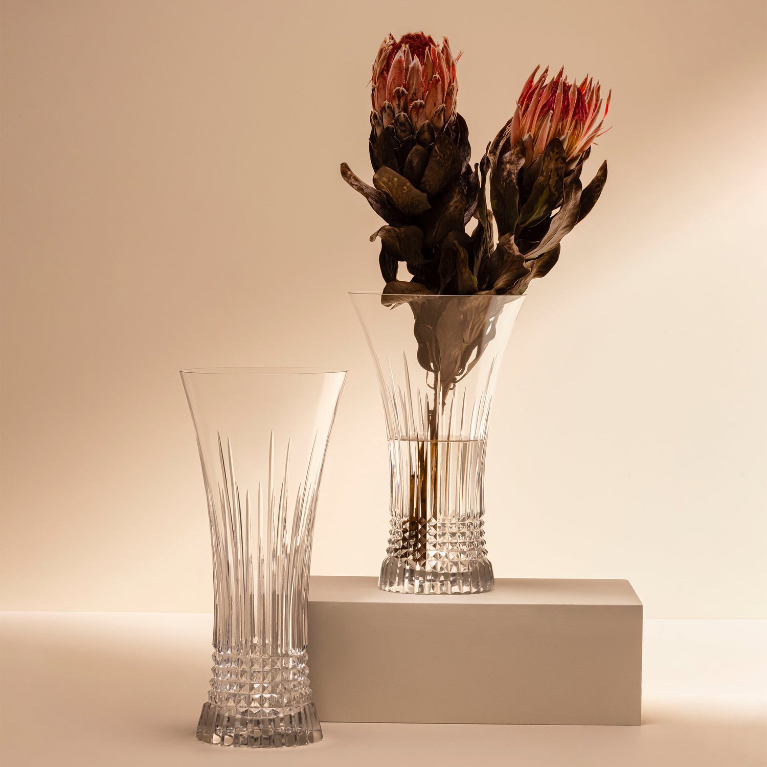 Vasos