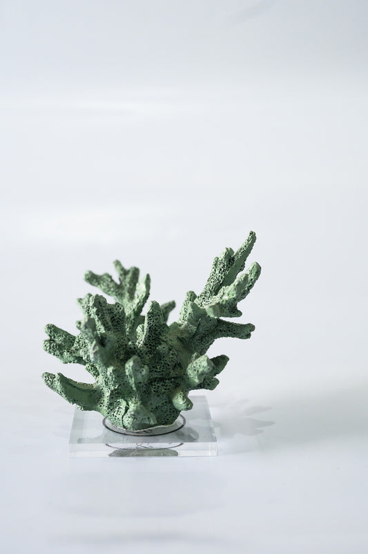 Coral Pequeno - Cor Oliva