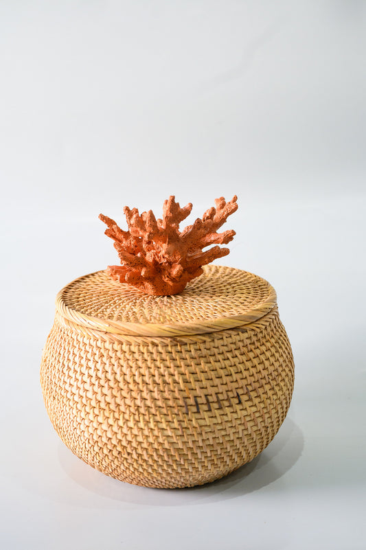 Caixa Ratan Coral Abaloada - Cor Telha