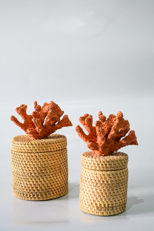 Caixa Ratan Coral - Cor Telha
