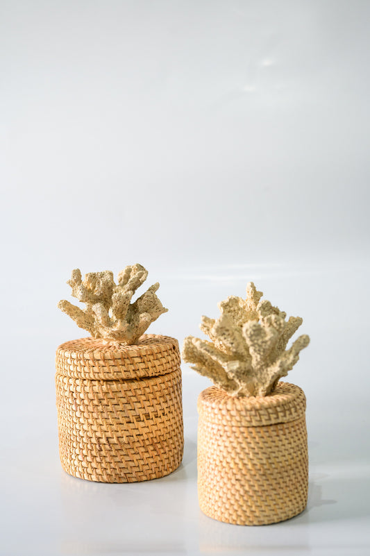 Caixa Ratan Coral - Cor Palha